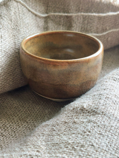 Earth Cup 2