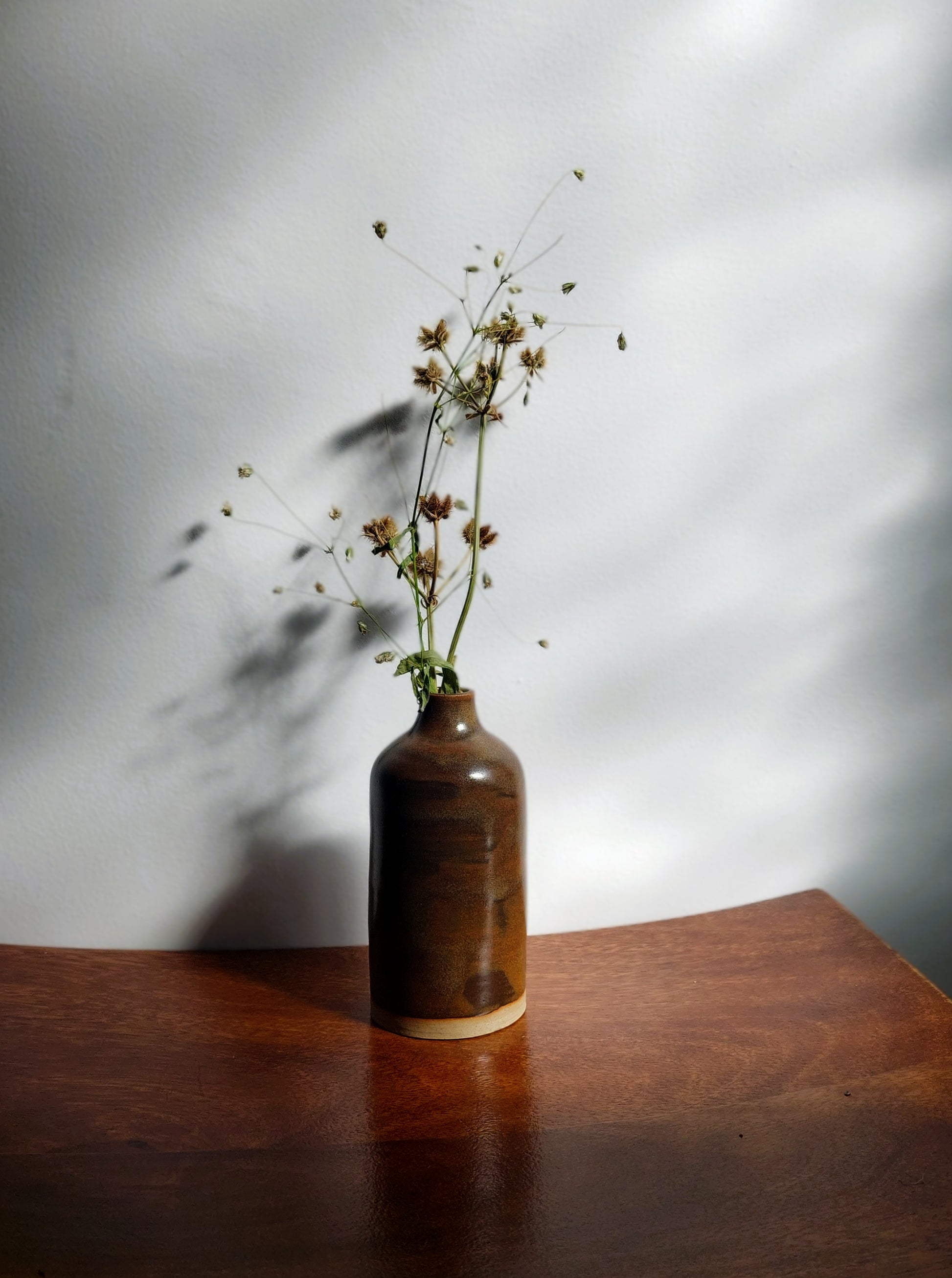 A small brown ceramic vase with a glossy finish, holding dried wildflowers, set on a dark wooden table against a white wall with soft shadow patterns.