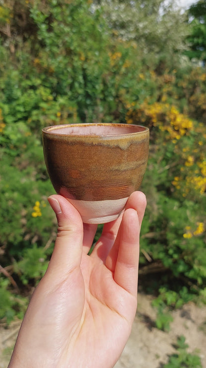 Earth Cup 1
